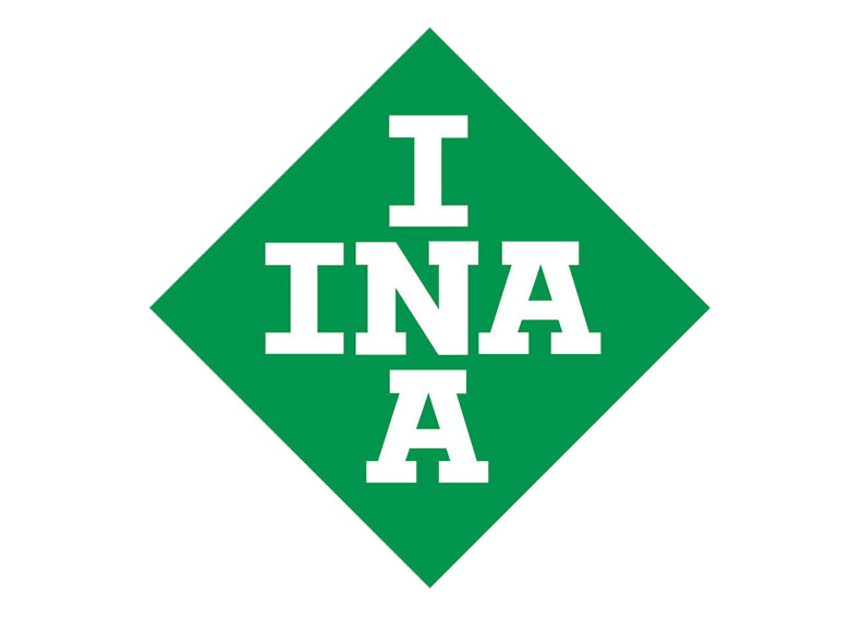 INAA